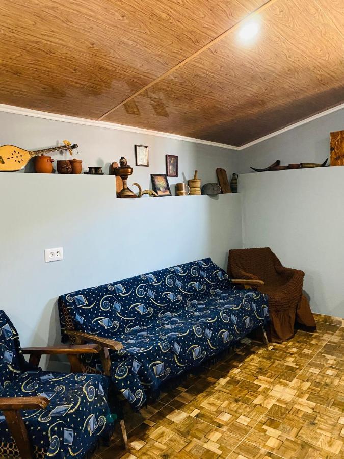 Mamuka'S Guesthouse Udabno Zewnętrze zdjęcie