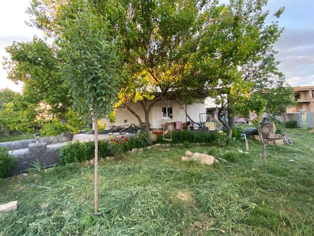 Mamuka'S Guesthouse Udabno Zewnętrze zdjęcie