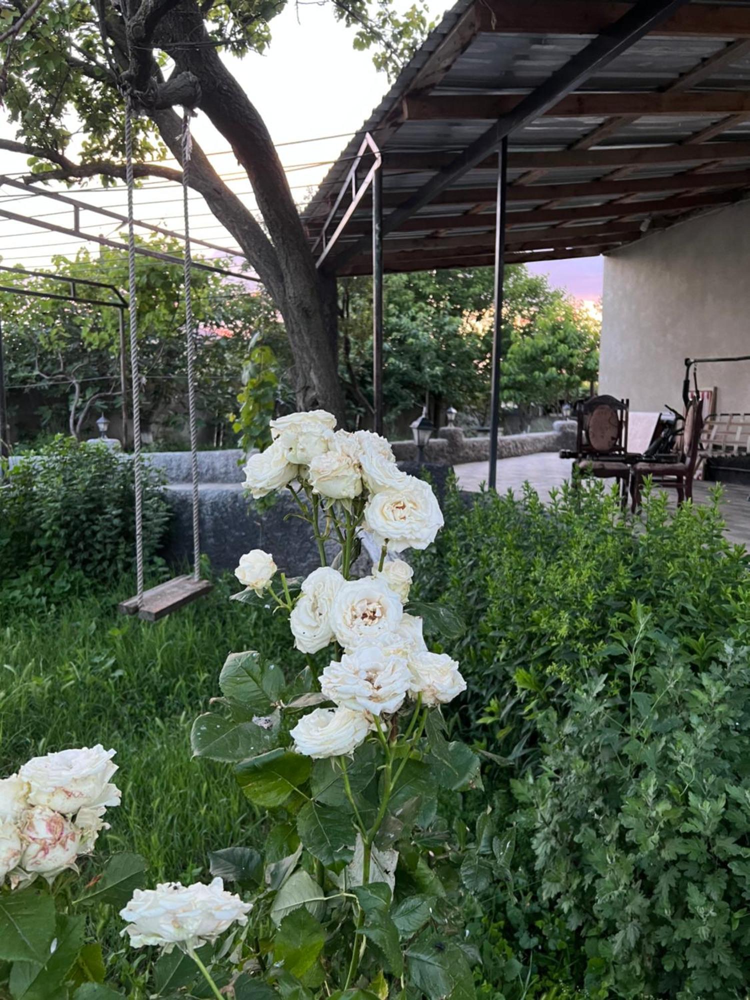 Mamuka'S Guesthouse Udabno Zewnętrze zdjęcie