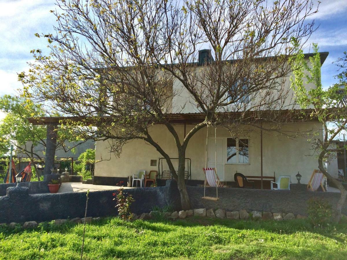Mamuka'S Guesthouse Udabno Zewnętrze zdjęcie